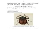 Checklist of the Family Scarabaeidae (Scarab Beetles) from Palestine