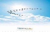 GPCA Annual Report 2007