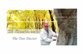 The first document about the tree doctor