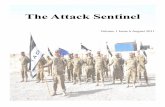 August 2011 Task Force Attack Newsletter