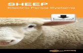Sheep Electric Fence Systems - New Zealand