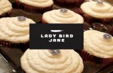 Lady Bird Jane Campaign Proposal