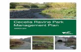 Cecilia Ravine Park Management Plan