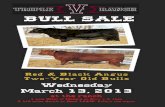 Triple V Ranch Bull Sale 2013