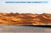 Experience Luxury Desert Camps in Morocco