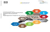 Sample Guidelines: Cumulative Environmental Impact Assessment for Hydropower Projects in Turkey