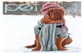 Northwest Pet Magazine - January 2012
