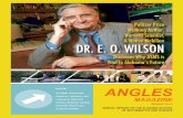 Angles Magazine 2013