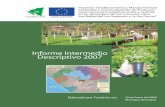 Informe Técnico "Proyecto Dendroenergético Nicaragua, 2007"