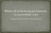 Kunstforeningens årsmøte 2012