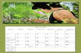 TS3 Creators' Consortium II March Calendar