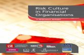 Risk culture report