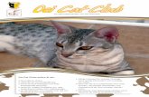 Oci Cat Club Folder