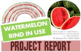 Watermelon Rind in Use