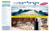 Issue 5 - PESACH