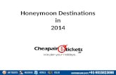 Honeymoon destinations in 2104