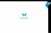 ibutterfly-service analysis