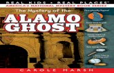 The Mystery of the Alamo Ghost