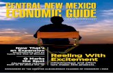 Central New Mexico Economic Guide: 2008