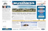 Carlsbad Business Journal - January 2013