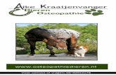 Aike Kraaijenvanger, Osteopathie voor dieren