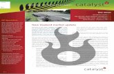 Catalyst Recruitment Newsletter 22 - May 2011