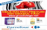 Catalog Carrefour Ploiesti
