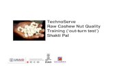 Raw Cashew Nut Quality Training