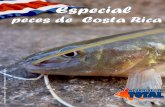 Especial peces de Costa Rica Revista 18  Para descargarla visitá