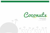 Coconuts Strategic Outline - InfoGraphics