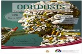 Oordosis uitgawe 1 (2013)