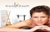 RawGoodies® Ambiance Collection Brochure