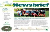 CNLA Newsbrief December 2012