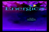 Energica - medlemsblad nr 2 - 2013
