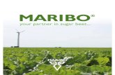 Maribo Seed - your partner in sugar beet