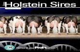 August 2012 Holstein Sire Catalog