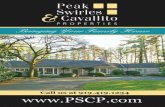Peak, Swirles & Cavallito Home Tour Vol 3 Issue 2 1B