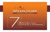 7 Motivos Splendore