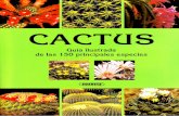 Cactus. Guía ilustrada