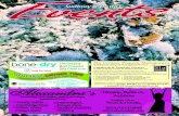 Events - Sudbury & District No 71 Winter 2014