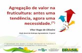 2 - Agregação_Expofruit2011 - Vitor Hugo.
