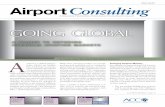 Winter 2010/11 Airport Consulting