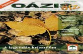 Oázis Magazin 2005/3 Ősz