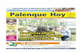 Chiapas Hoy Miércoles 11 de Noviembre en Palenque Hoy