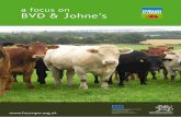 A Focus on BVD & Johne's