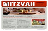 Conexión Mitzvah