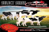 Select Sires Canada Proof Sheet - August 2013