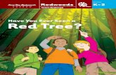 Grades K-2 - Have You Ever Seen a Red Tree