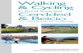 Walking and Cycling in Rural Swansea