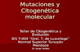 Compuestos Citotoxicos y Citogenética Molecular